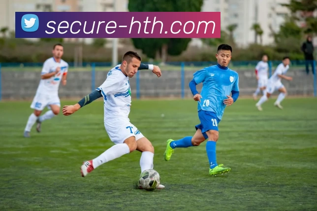 App Interface Preview