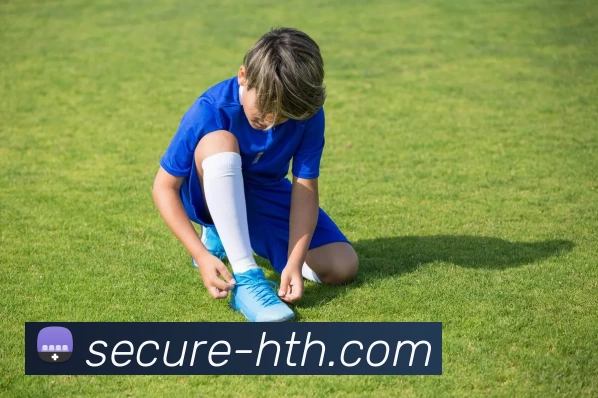 hth体育APP 封面图